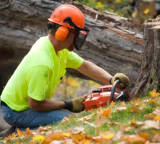 tree services Church Hill